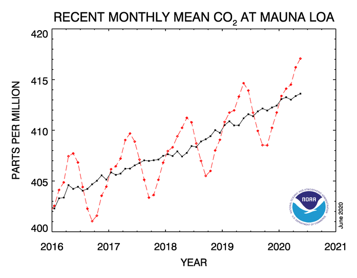 Der Verlauf der CO2-Konzentration seit dem Jahr 2016 (rot) und nach Entfernung der saisonalen Schwankung (schwarz). Quelle: NOAA