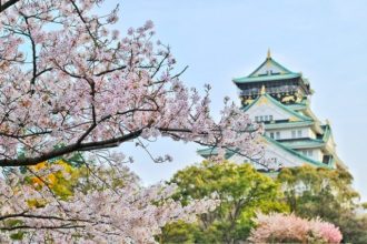 Kirschblüte in japanischem Garten Wien