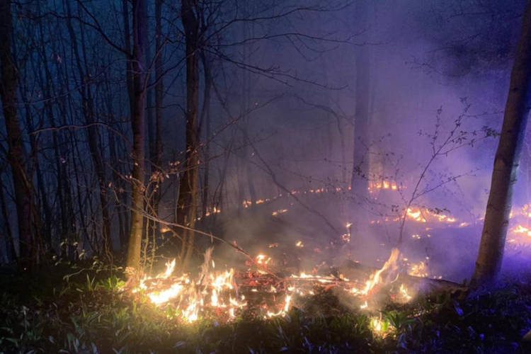 Waldbrand bei Klosterneuburg am Abend des 05.April 2020. Quelle: FF Klosterneuburg