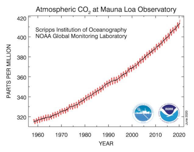 Der Verlauf der CO2-Konzentration seit dem Jahr 1958 (rot) und nach Entfernung der saisonalen Schwankung (schwarz). Quelle: NOAA